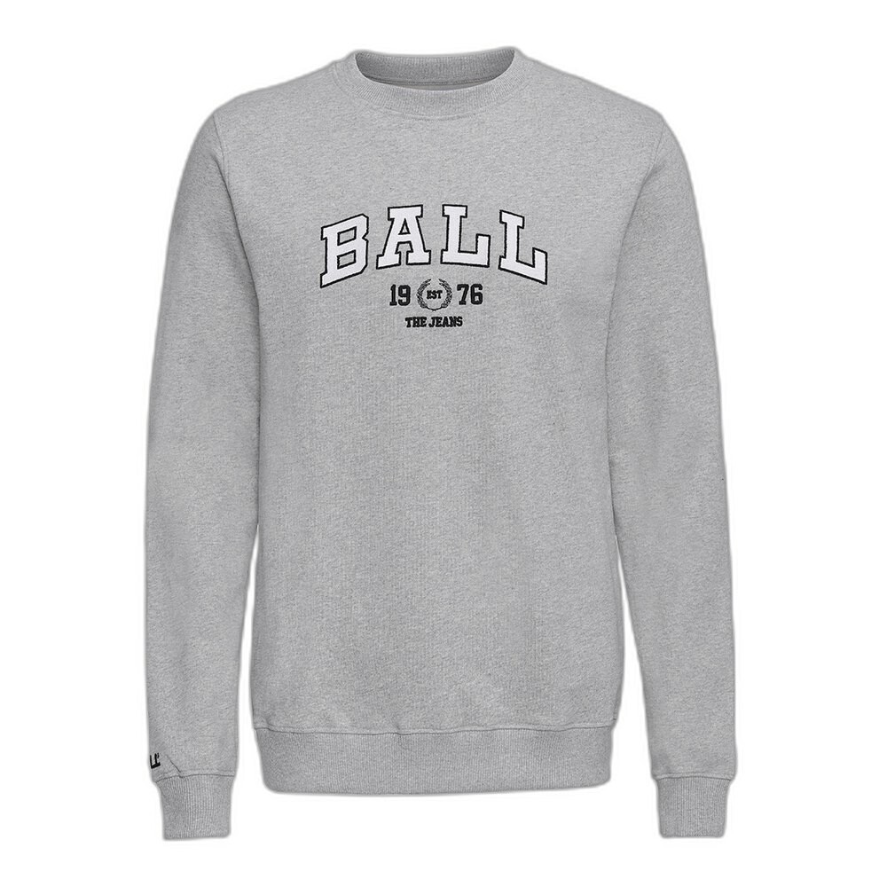 

Толстовка Ball L. Taylor, серый