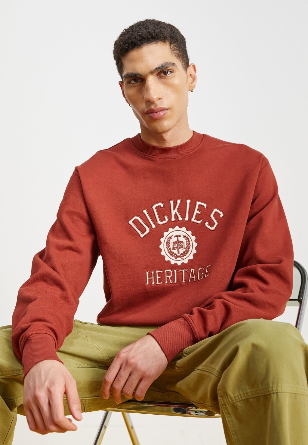 

Толстовка Dickies