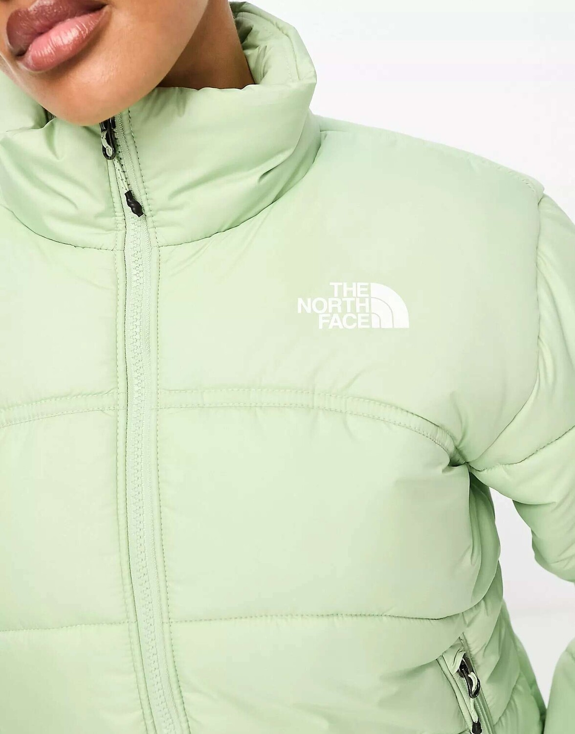 

Пуховик The North Face TNF 2000 шалфейного цвета