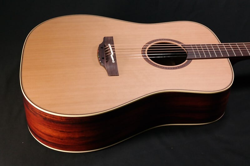 

Акустическая гитара Takamine FN15AR Limited Dreadnought Acoustic Guitar 355
