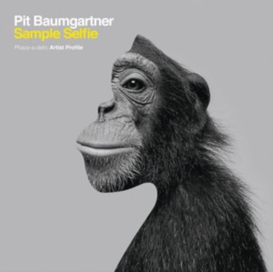 

Виниловая пластинка Pit Baumgartner - Sample Selfie