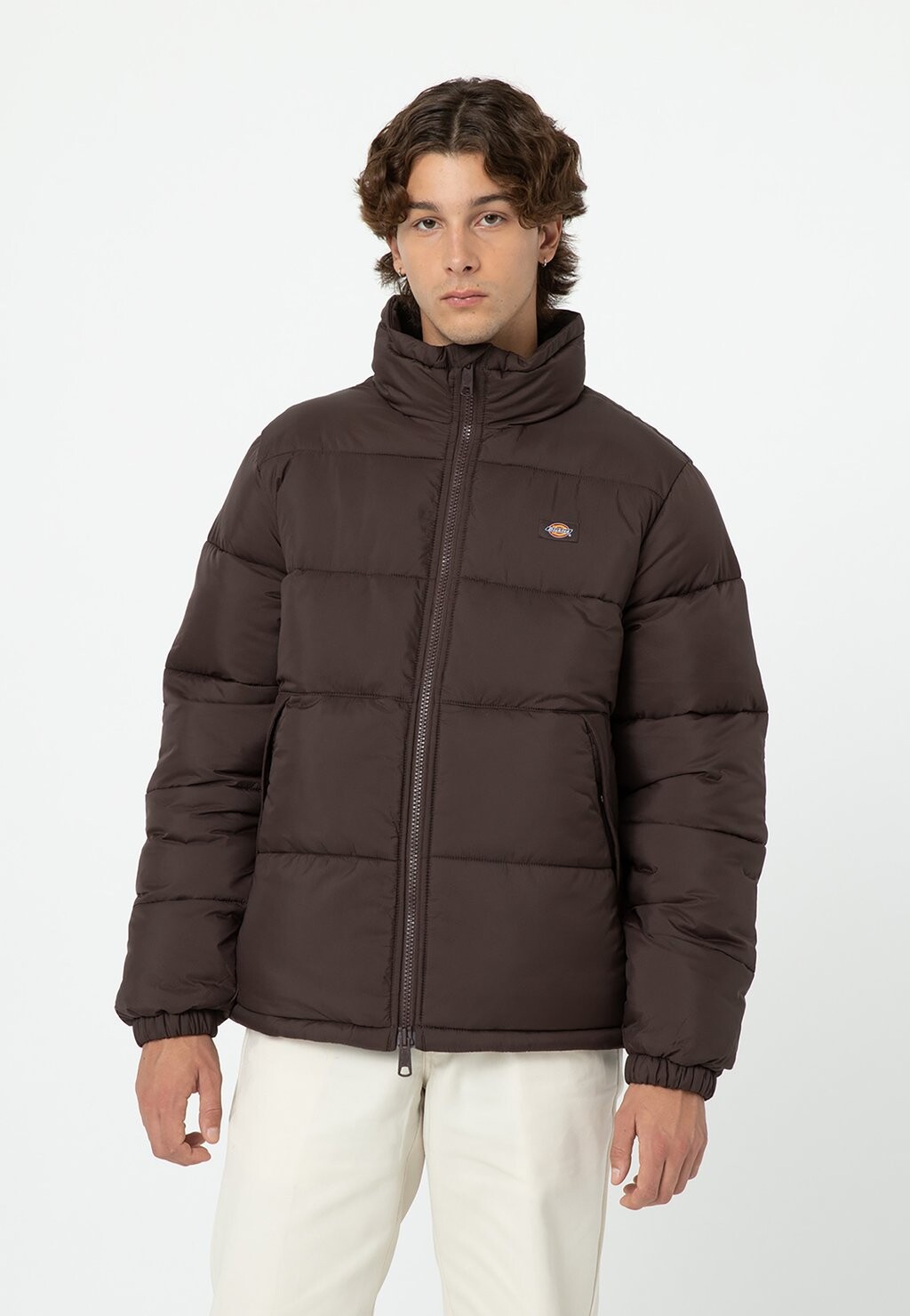 

Куртка зимняя Dickies