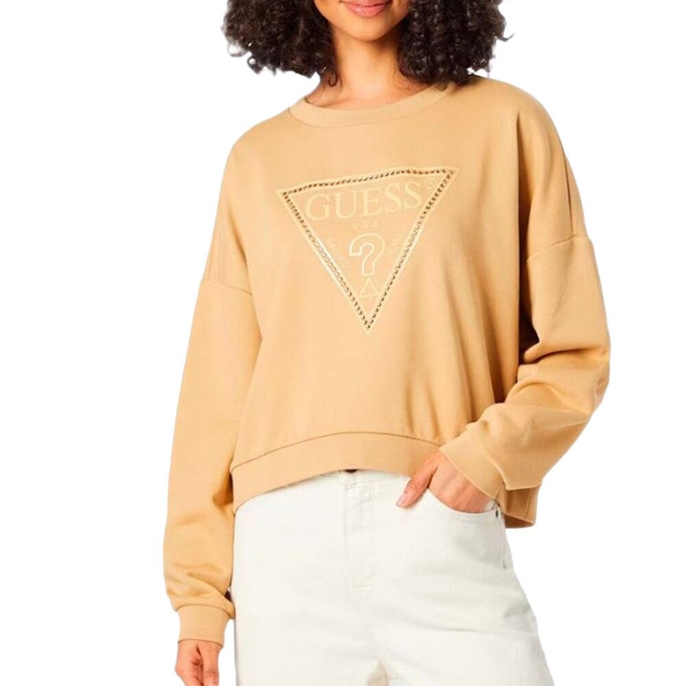 

Толстовка Guess Rosatea, коричневый