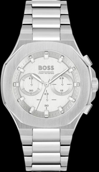 

Часы Boss 1514087