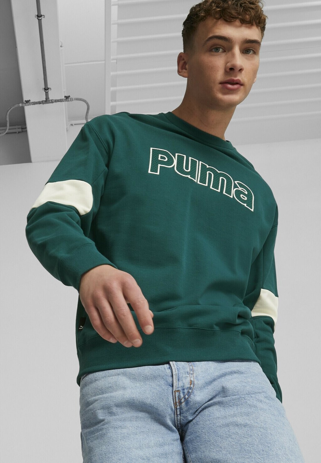 

Толстовка Puma
