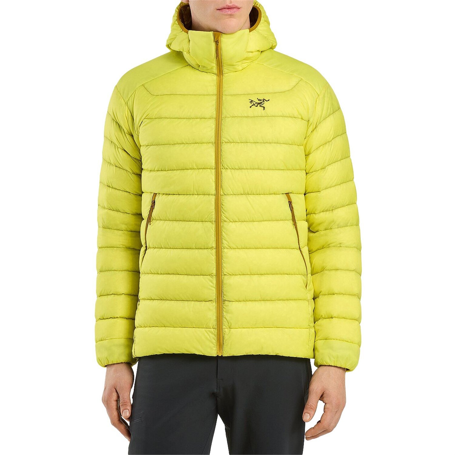 

Худи Arc'teryx Cerium, цвет Oracle