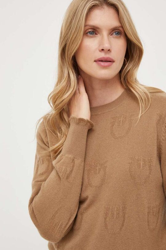 

Кашемировый свитер Pinko, коричневый