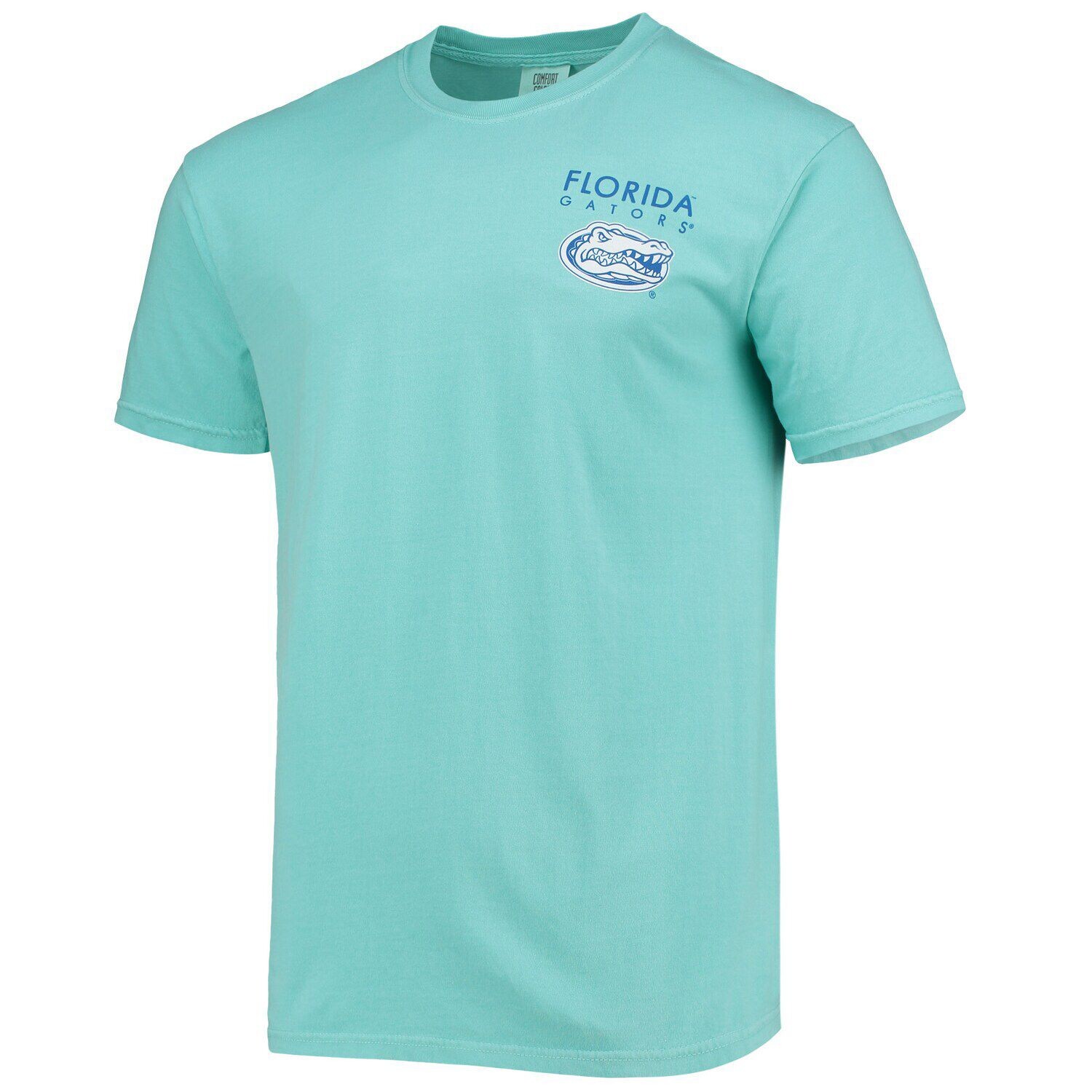 

Мужская футболка мятного цвета Florida Gators Circle Scene Comfort Color, Зеленый