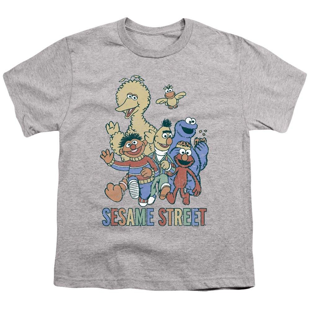 

Красочная детская футболка для групп Sesame Street, серый