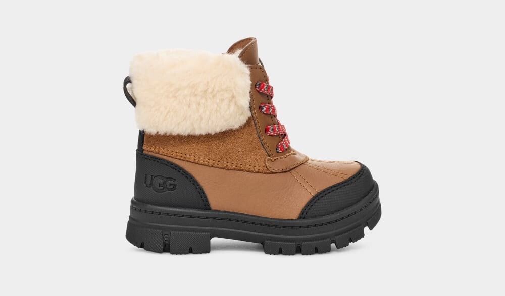 

Ботинки Ashton Addie UGG, коричневый