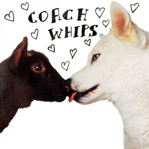 

Виниловая пластинка Coachwhips: Bangers Vs. F*ckers