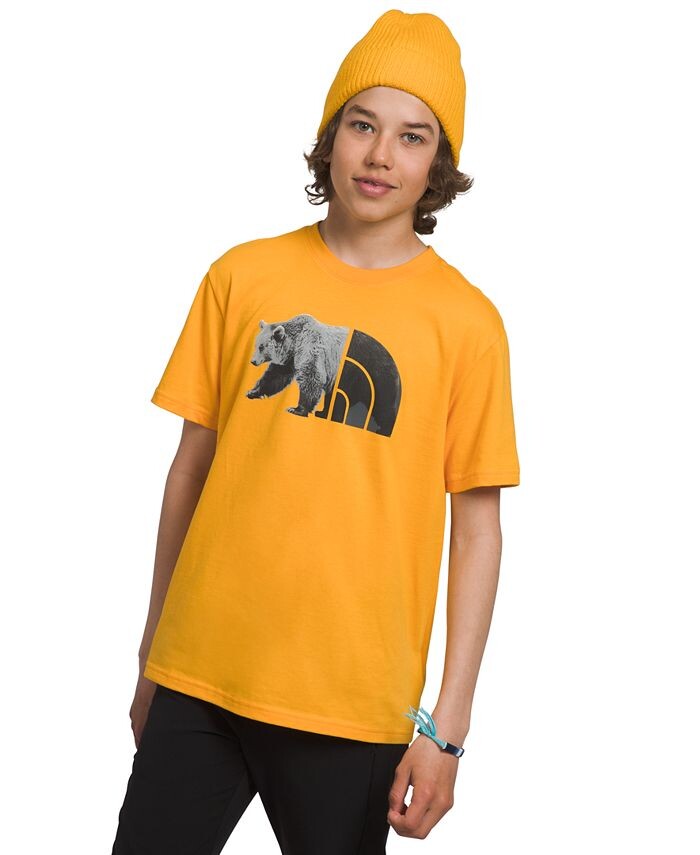 

Футболка с короткими рукавами и рисунком Big Boys The North Face, желтый