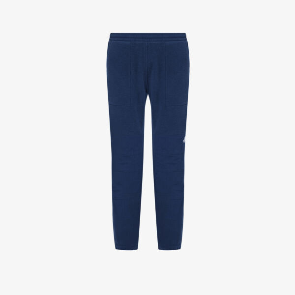 

Спортивные брюки из флиса с вышивкой denali The North Face, синий
