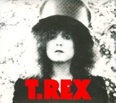 Виниловая пластинка T. Rex - The Slider (Remastered) t rex the slider picture vinyl