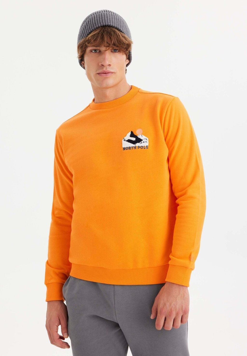 

Толстовка DESTINATION NORTH POLE WESTMARK LONDON, цвет tangerine