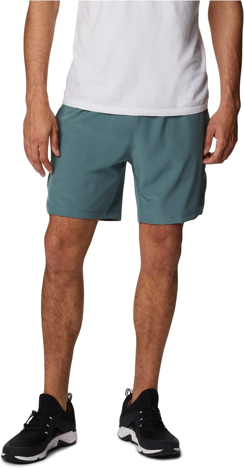 

Шорты Alpine Chill Zero Columbia, цвет Metal
