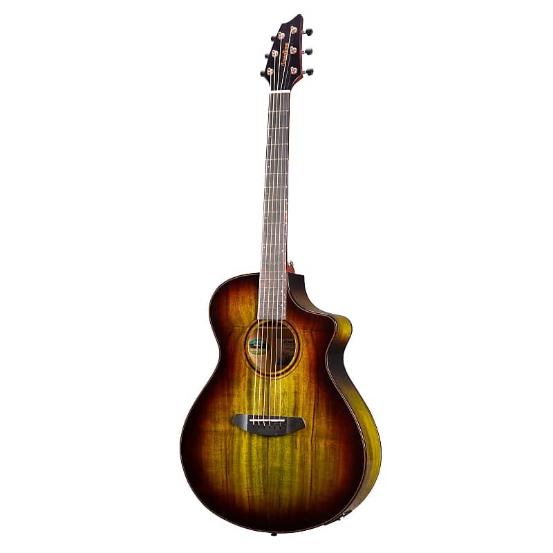 

Акустическая гитара Breedlove Limited-edition Pursuit Exotic Concert A/E Guitar - Earthsong Burst