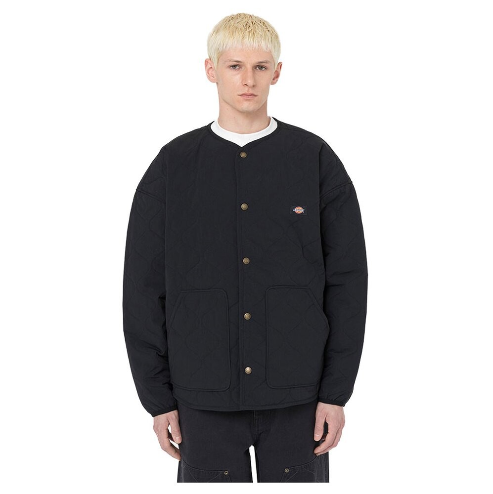 

Куртка Dickies Thorsby Liner, черный