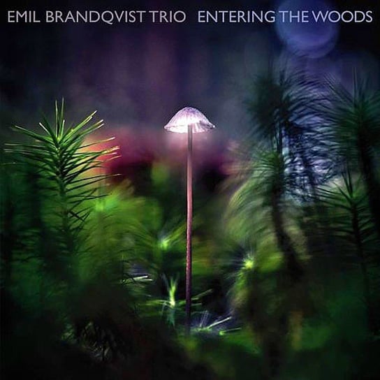 Виниловая пластинка Emil Brandqvist Trio - Entering The Woods lukas gloor the emil buhrle collection