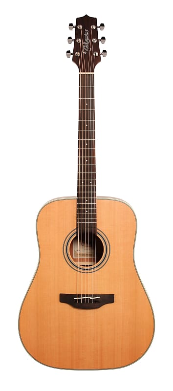 Акустическая гитара Takamine GD20 - G20 Series Dreadnought Acoustic Guitar - Mahogany - Dealer! - New! - Ships FREE! акустическая гитара takamine gd20 ns satin natural dreadnought acoustic guitar