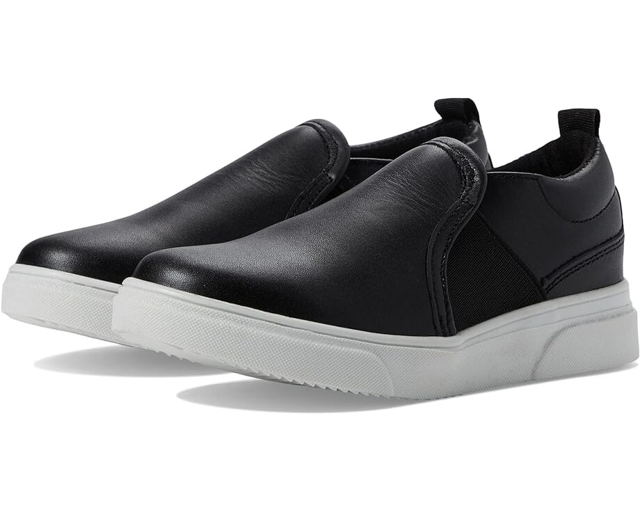 

Кроссовки Steve Madden Telliott, черный