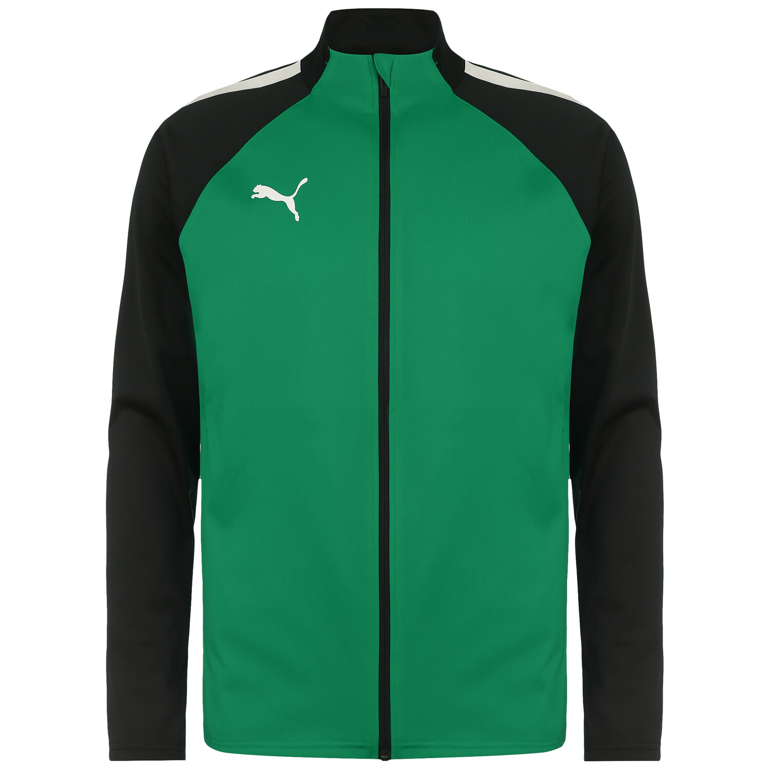 

Спортивная куртка Puma TeamLIGA, зеленый/черный