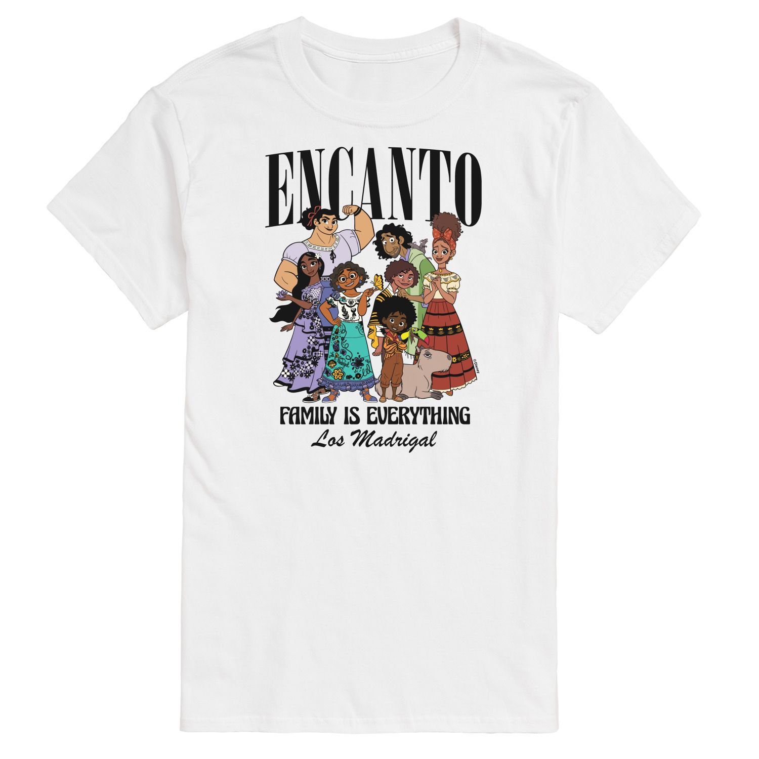 Семейная футболка Encanto от Big & Tall Disney License, белый