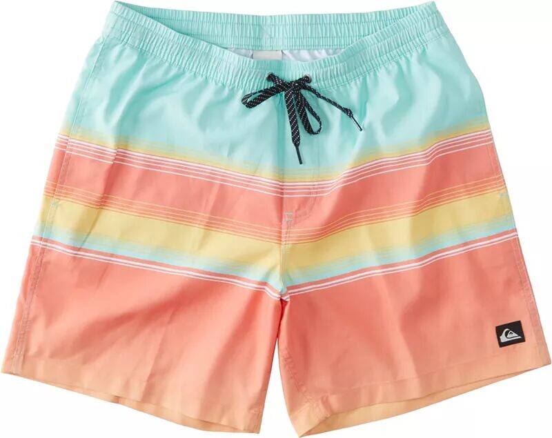 

Мужские шорты для плавания Quiksilver D Swell Vision Volley 17 дюймов