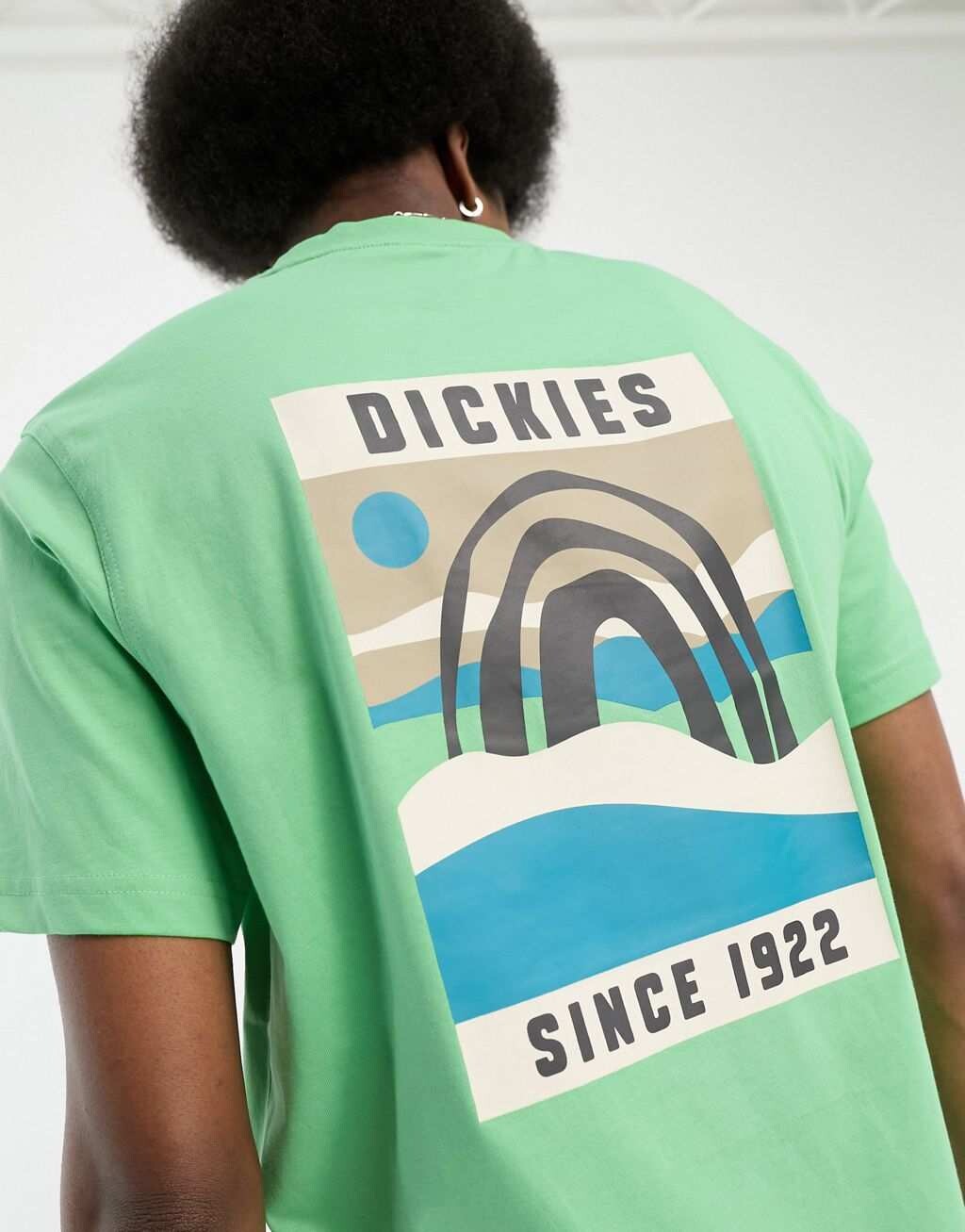

Зеленая футболка с принтом на спине Dickies Baker City Landscape