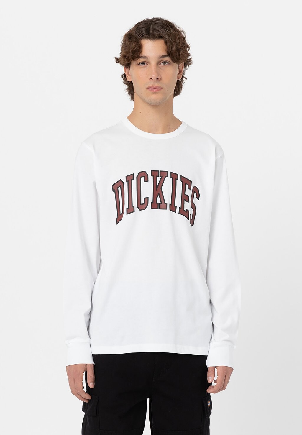 

Футболка с длинным рукавом Aitkin Dickies, цвет white fired brick
