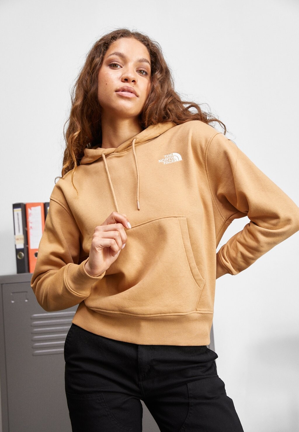 

Толстовка The North Face