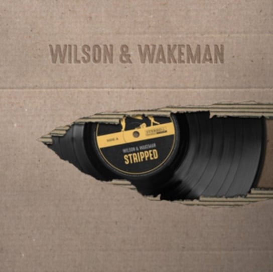 Виниловая пластинка Wilson Damian - Stripped