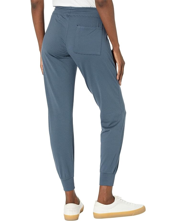 

Брюки Toad&Co Timehop Joggers, цвет True Navy Stripe