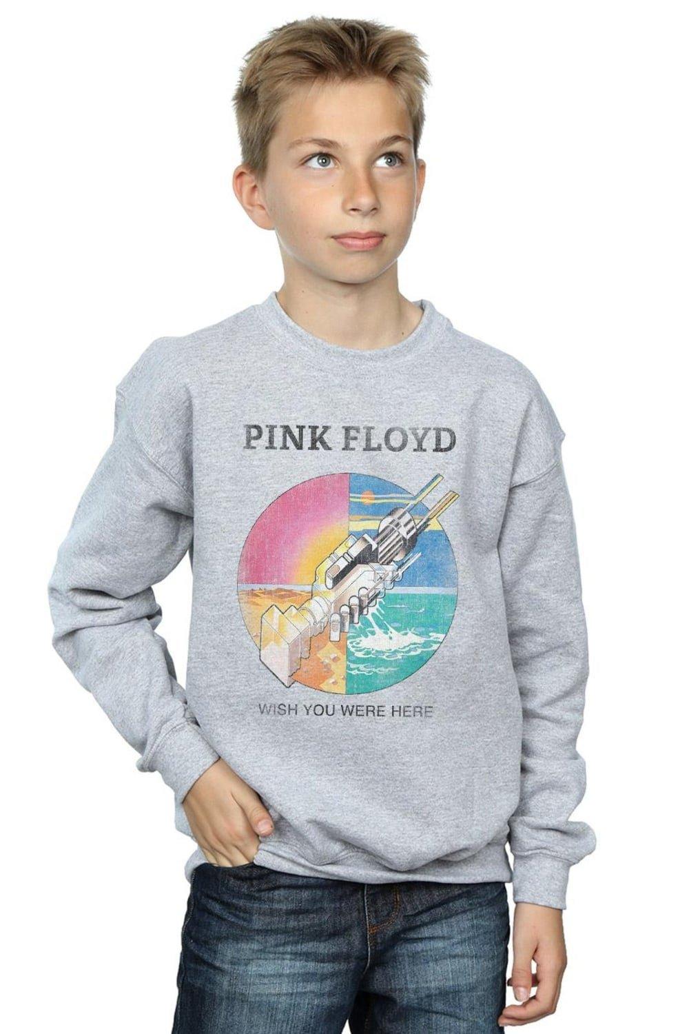 Толстовка Wish You Were Here Pink Floyd, серый виниловая пластинка pink floyd – wish you were here postcard