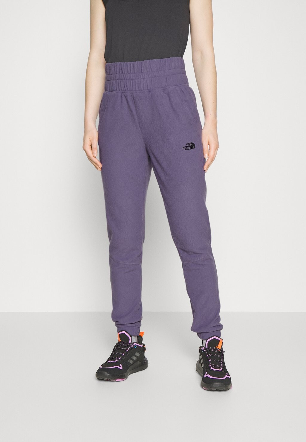 

Спортивные брюки The North Face, Серый
