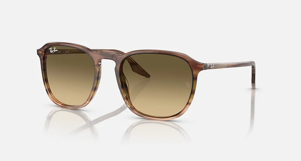 

Солнцезащитные очки Ray-Ban RB2203, коричнево-черный