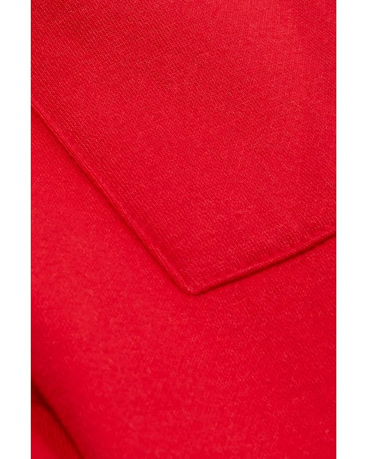 Шорты Tommy Hilfiger Stripe Graphic Knit Shorts, цвет Red Planet