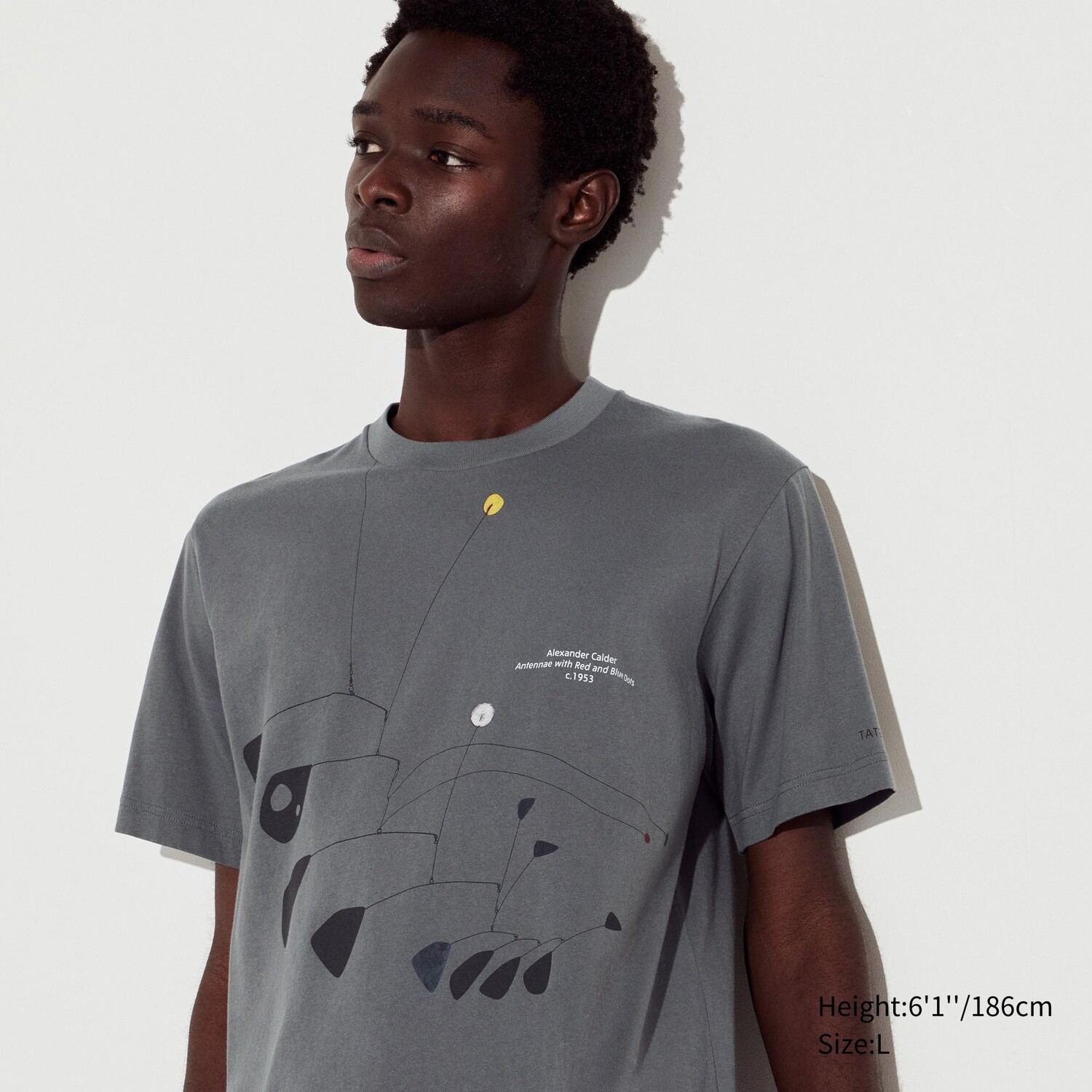 

Футболка Uniqlo Tate Gallery с коротким рукавом и рисунком, серый