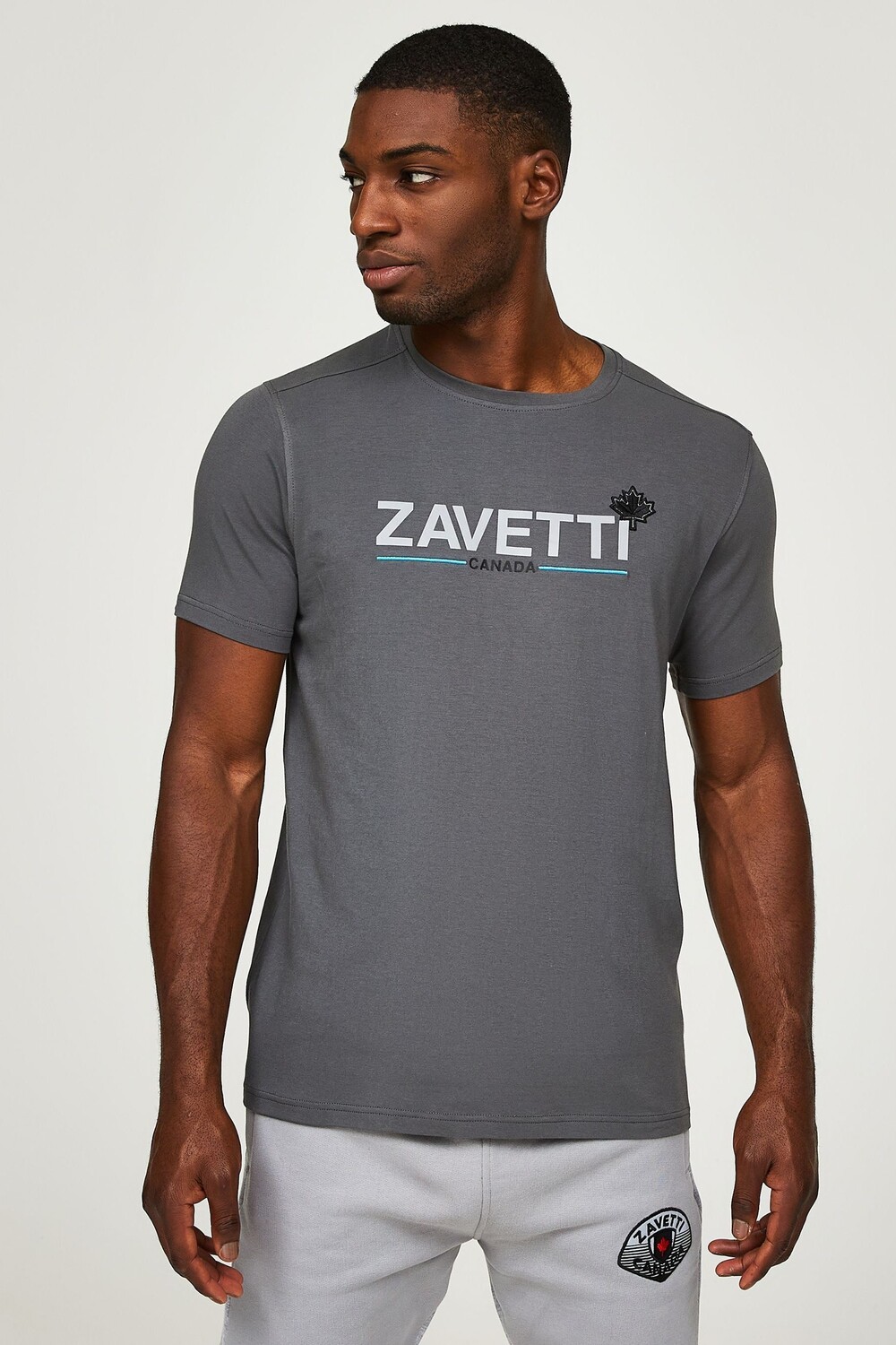 

Футболка леватори Zavetti Canada, серый