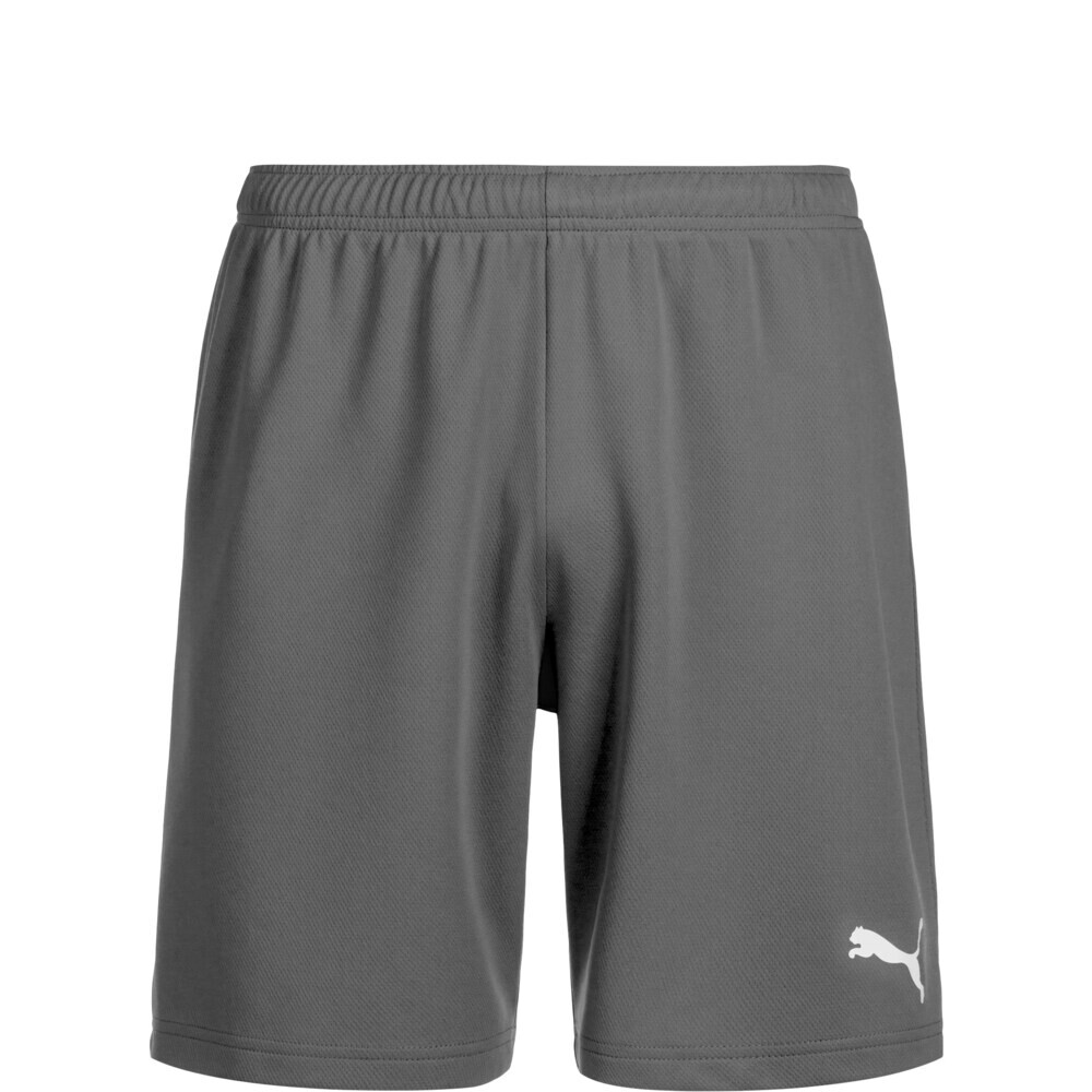 

Обычные тренировочные брюки Puma TeamRise, серый