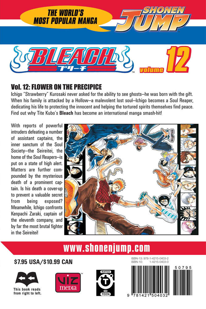 

Манга BLEACH Manga Volume 12