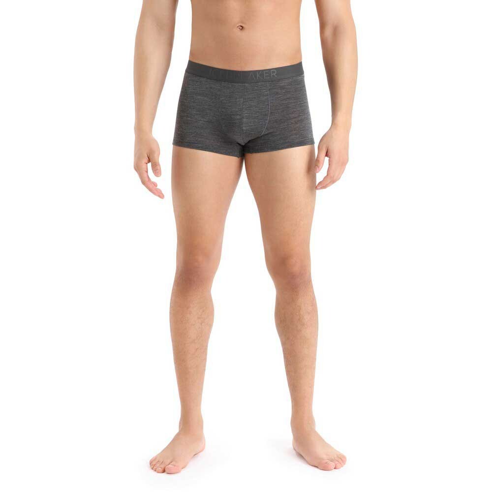 

Боксеры Icebreaker Anatomica Cool-Lite Trunks, серый