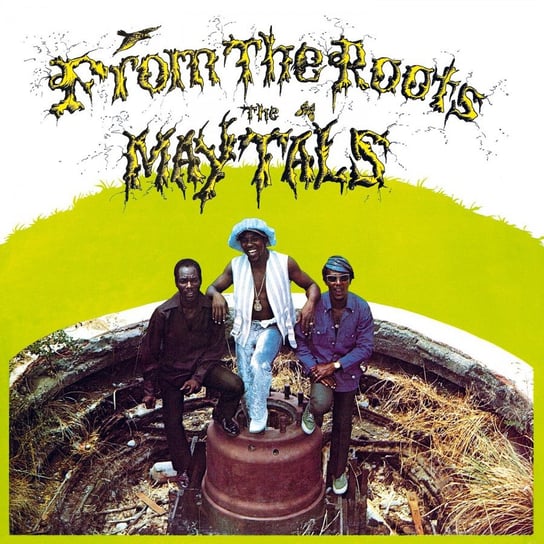 Виниловая пластинка The Maytals - From The Roots