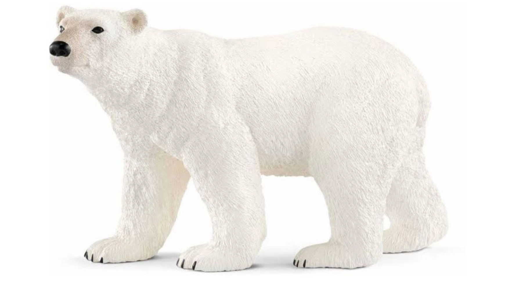 Schleich Белый медведь Wild Life ареал обитания куряев ш