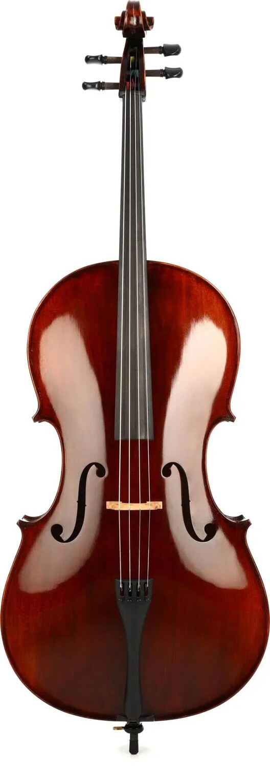 

Eastman VC305 Андреас Истман Виолончель среднего уровня — размер 4/4
