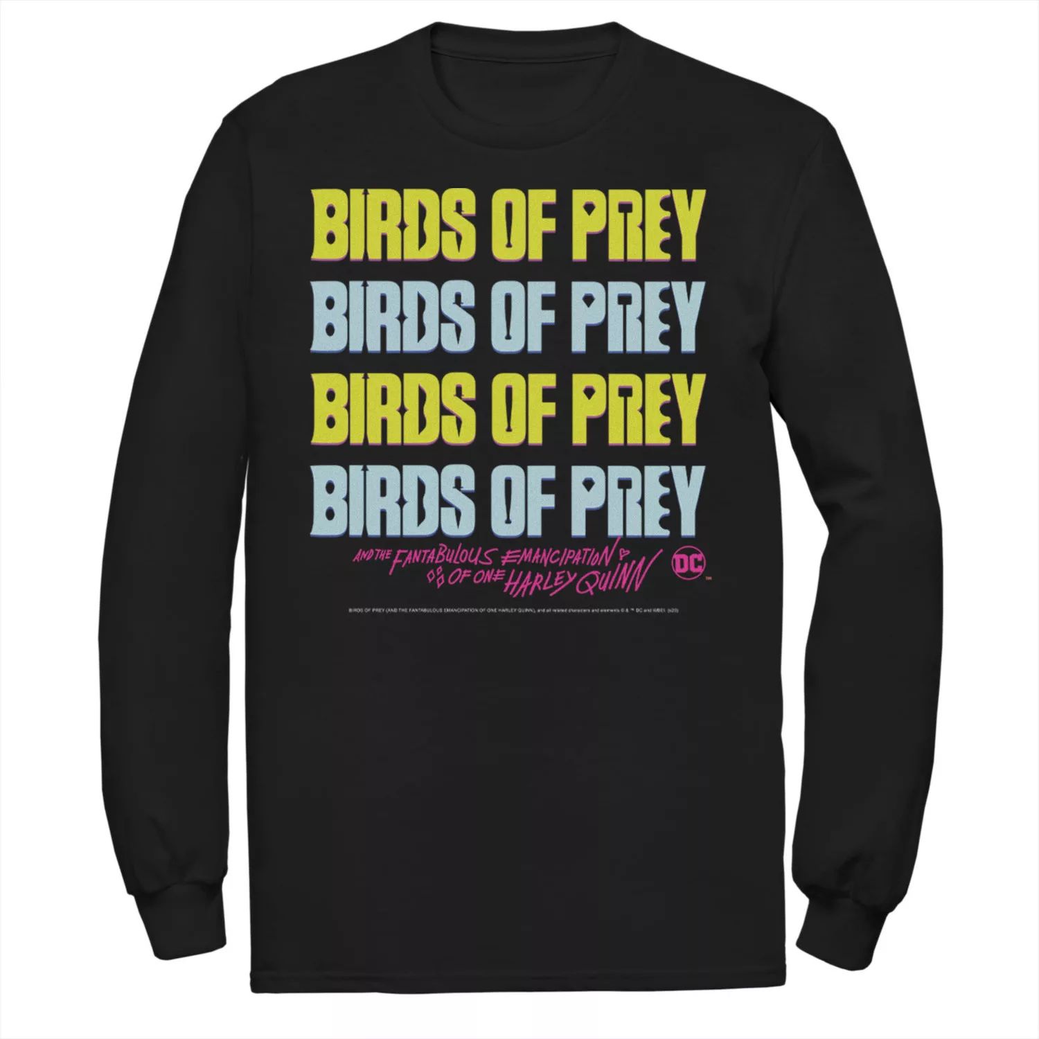 Мужская футболка с логотипом Birds Of Prey Word Stack DC Comics