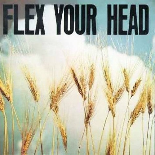 

Виниловая пластинка Flex Your Head / Various: Flex Your Head