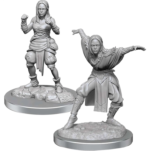 Фигурки Half-Elf Monk Female: Pathfinder Deep Cuts Unpainted Miniatures (W21)