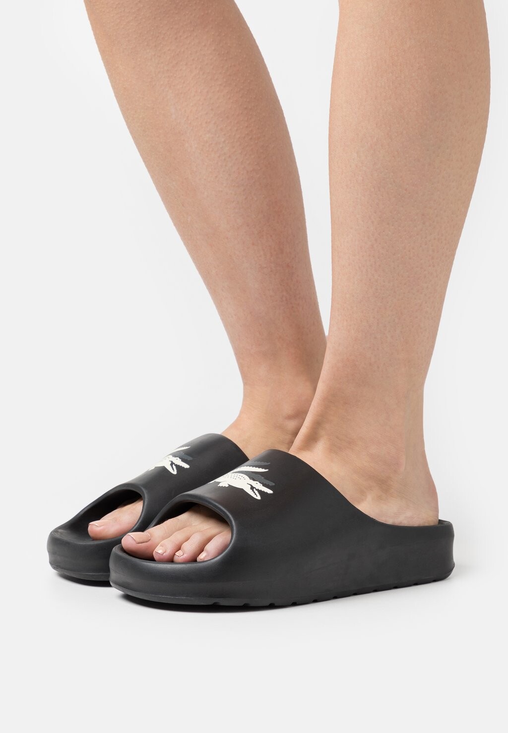 

Шлепанцы Lacoste