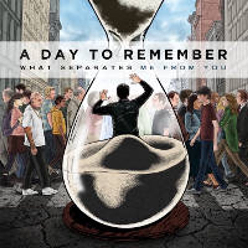 

Виниловая пластинка LP What Separates Me From You - A Day To Remember